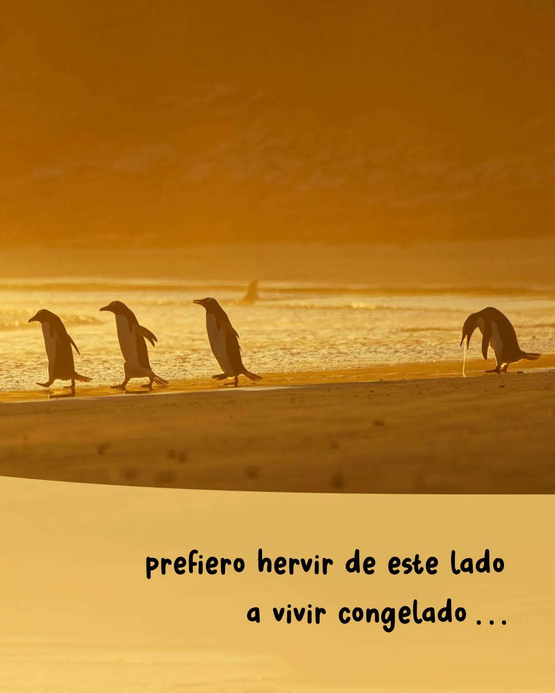 Juntar, unir, conectar,
Nonaga.
Aunque cueste el camino,
aunque te corran el piso,
aunque te cambien el tablero,
Nonaga.
.
.
🎶 Pampa Yakuza, "Juntes"
📷 comedywildlifephoto.com
.
#ElijoCreer #celebración #fiesta #jugar #ganar #equipo #clasificar