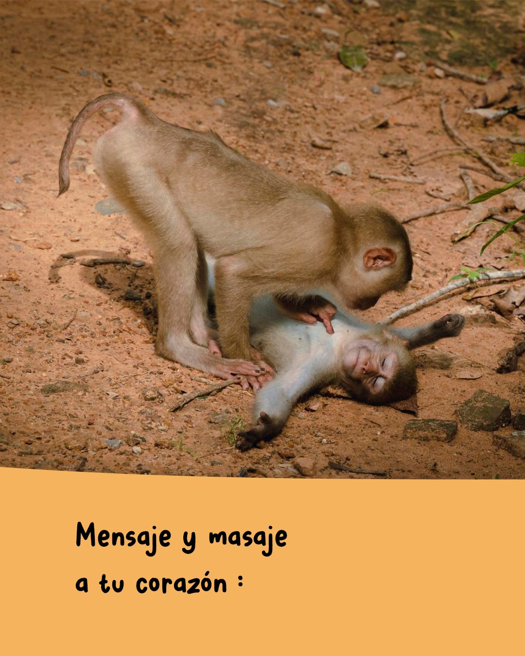 Juntar, unir, conectar,
Nonaga.
Aunque cueste el camino,
aunque te corran el piso,
aunque te cambien el tablero,
Nonaga.
.
.
🎶 Pampa Yakuza, "Juntes"
📷 comedywildlifephoto.com
.
#ElijoCreer #celebración #fiesta #jugar #ganar #equipo #clasificar