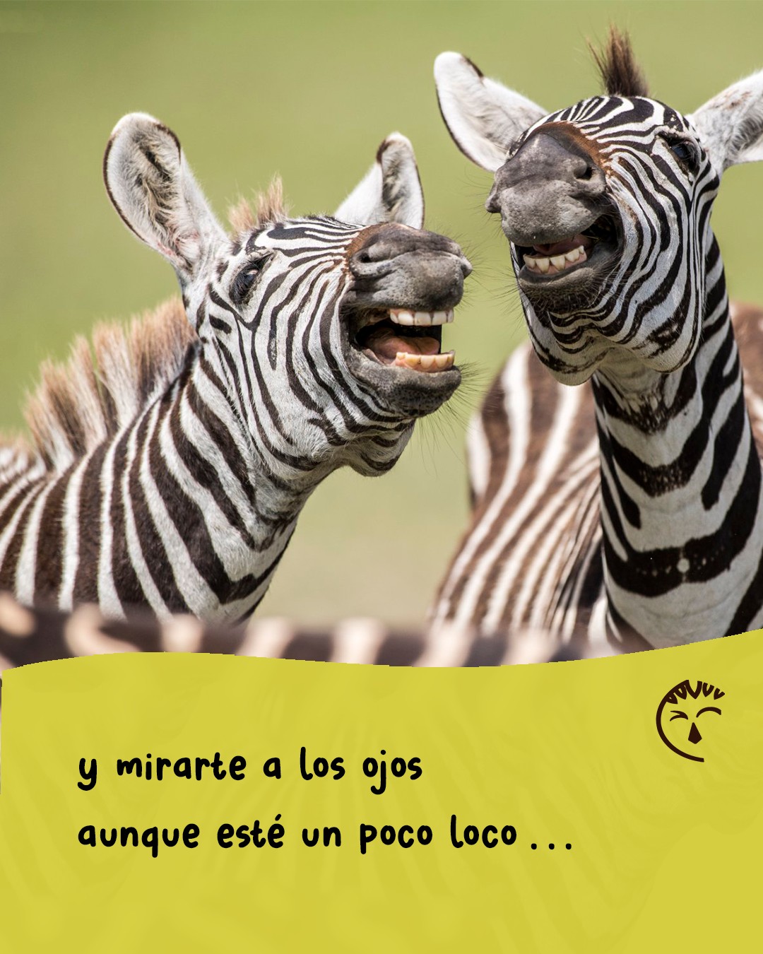 Juntar, unir, conectar,
Nonaga.
Aunque cueste el camino,
aunque te corran el piso,
aunque te cambien el tablero,
Nonaga.
.
.
🎶 Pampa Yakuza, "Juntes"
📷 comedywildlifephoto.com
.
#ElijoCreer #celebración #fiesta #jugar #ganar #equipo #clasificar