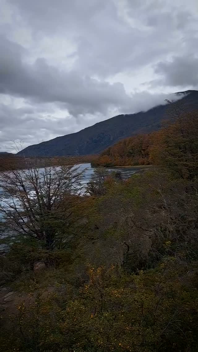 🌄 En el corazón indómito del sur, Leftaro Tours te guía por una ruta legendaria.
🚐 Recorre la Carretera Austral, cruza fiordos, visita villorrios, explora Parques Nacionales y relájate en termas donde la tierra guarda el calor en sus entrañas. ❄️ Frente a los glaciares y Capillas de Mármol, sentirás el poder de lo eterno. 💎 Y en la Laguna San Rafael, el tiempo se detendrá sólo para ti. Aquí, fuego y hielo son uno solo.
Para reservas ingresa aquí:
https://f.mtr.cool/3b1eudkxl7
Para más informacion de Rutas aquí:
https://f.mtr.cool/a6k6av9k9s
📍 #LeftaroTours #PatagoniaChile #ExploraAysén #LagunaSanRafael #CapillasDeMármol #CamposDeHielo #TurismoPatagónico #TravelChile #ViajerosPorElMundo #FiordosDeAysén #ExploraLaPatagonia #WildPatagonia #DescubreChile #ViajeÉpico #PatagoniaLegendaria #CarreteraAustral #NatureLoversChile #TurismoAventura #ChileEsTuyo #PatagoniaDreams #SouthOfTheWorld #ExplorePatagonia #RutasPatagonicas 👏