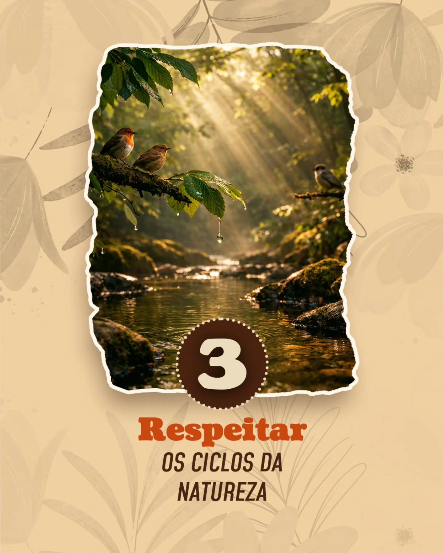 Os povos da floresta carregam ensinamentos que atravessam gerações.
Saberes que não nasceram em livros, mas na observação da natureza, na convivência comunitária e na escuta dos mais velhos.
Entre muitos ensinamentos, alguns aparecem com frequência em diferentes culturas tradicionais:
🌿 Honrar a sabedoria ancestral
🌿 Escutar antes de agir
🌿 Respeitar os ciclos da natureza
🌿 Aprender com os mais velhos
🌿 Valorizar a comunidade
🌿 Cuidar do território
🌿 Praticar a gratidão
Esses ensinamentos não são apenas ideias — são formas de viver em equilíbrio com a vida e com a terra.
✨ Pequenas mudanças de consciência podem transformar nossa relação com o mundo.
👇 Agora queremos saber:
Qual desses ensinamentos mais faz sentido para você neste momento da sua vida?
#saberesancestrais
#povosoriginarios
#consciência
#espiritualidade
#chacarakumbaya