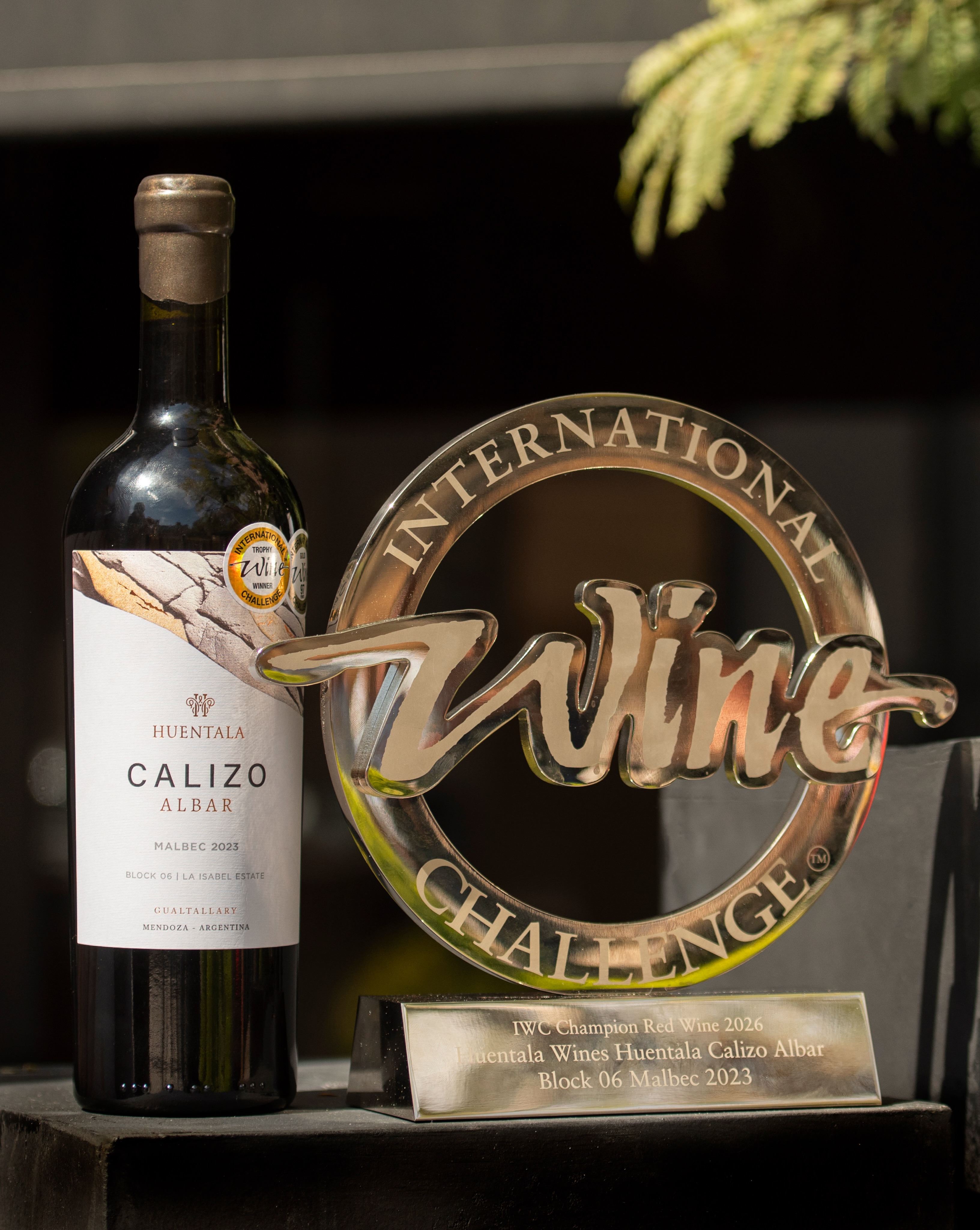 Un diseño que hoy acompaña un logro extraordinario. 🍷🏆Desde Argency estamos profundamente orgullosos de haber creado el diseño de packaging de Huentala Calizo Ámbar, reconocido como el Mejor Vino Tinto del Mundo en el International Wine Challenge 2026.Felicitaciones a todo el equipo de Huentala Wines por este premio histórico, que celebra el talento, la pasión y el enorme potencial del vino mendocino.