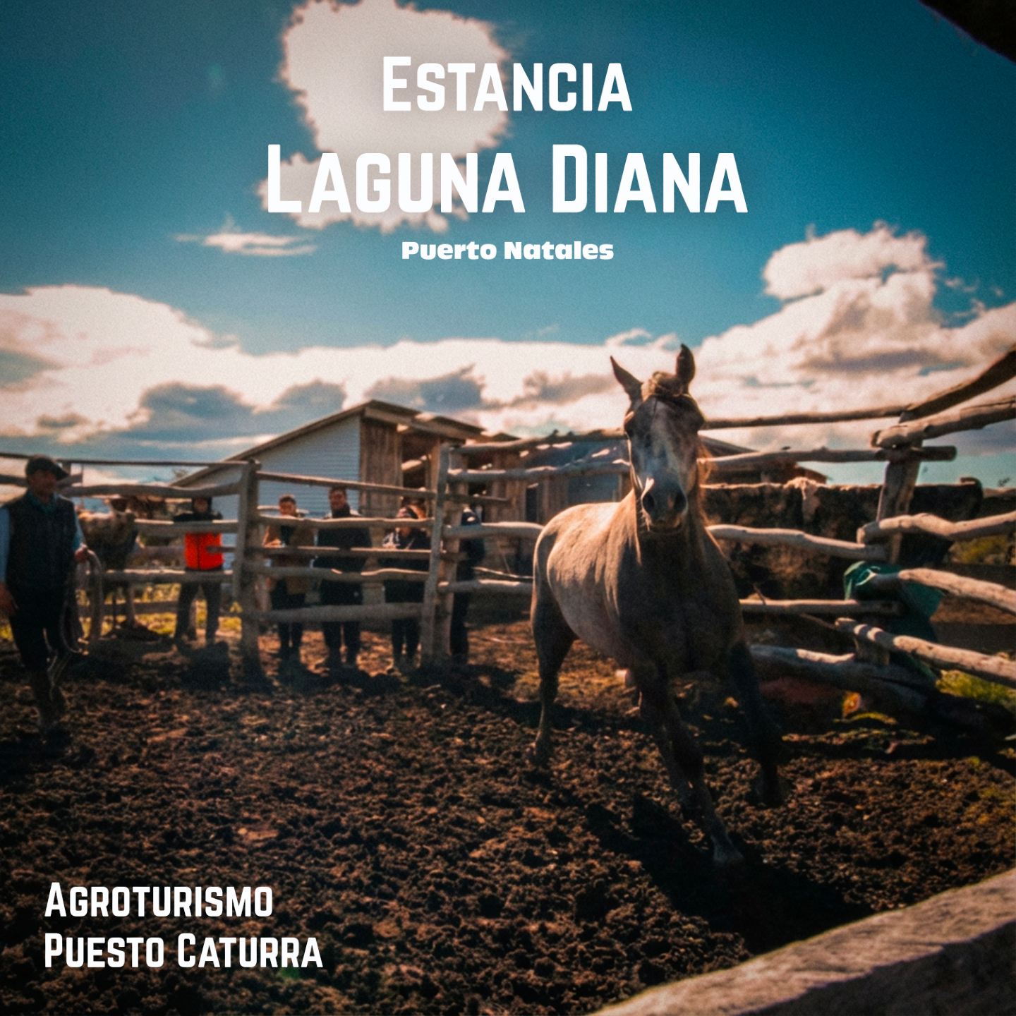 En los confines del mundo, donde incluso los Andes se rinden ante el rugido del viento y el horizonte se pierde más allá, existe un reino forjado por el tiempo. No es sólo un destino; es la Patagonia indómita, una tierra donde el pulso de la naturaleza aún late al ritmo del galope.
A la sombra de la historia, a sólo 30 minutos de Puerto Natales, las puertas de Agroturismo Caturra se abren en la legendaria Estancia Laguna Diana. Aquí, las tranqueras no sólo guardan baguales, custodian una forma de vida que el tiempo no pudo borrar.
La Senda del Jinete: Monta hacia el infinito. Cruza paisajes que parecen pintados por dioses, donde cada paso de tu caballo es un eco de los pioneros que conquistaron lo imposible. 🐎
El Fuego Ancestral: Reúnete en torno al fogón, donde el aroma de la cocina típica patagónica no sólo alimenta el cuerpo, sino que enciende tu alma. 🪵🔥
La Calidez del Refugio: Encuentra el descanso en un ambiente familiar que te abraza con la fuerza de la tradición.
Aquí el silencio grita verdades. Ven a desprenderte de las cadenas del ruido moderno para fundirte con la esencia de lo humano, de lo demasiado humano.
Para reservas ingresa aquí
https://f.mtr.cool/9yn9j7copv
Para más información de rutas ingresa aquí:
https://f.mtr.cool/dj6wp9gm85
#AgroturismoCaturra
#EstanciaLagunaDiana
#PatagoniaChilena
#PuertoNatales
#CabalgatasPatagonia
#TurismoRural
#LagoDiana
#PuestoCaturra
#ExperienciaPatagonica
#SaboresDeLaPatagonia
#ViajarLento
#TurismoConIdentidad
#PatagoniaAutentica
#RutasPatagonicas 👏